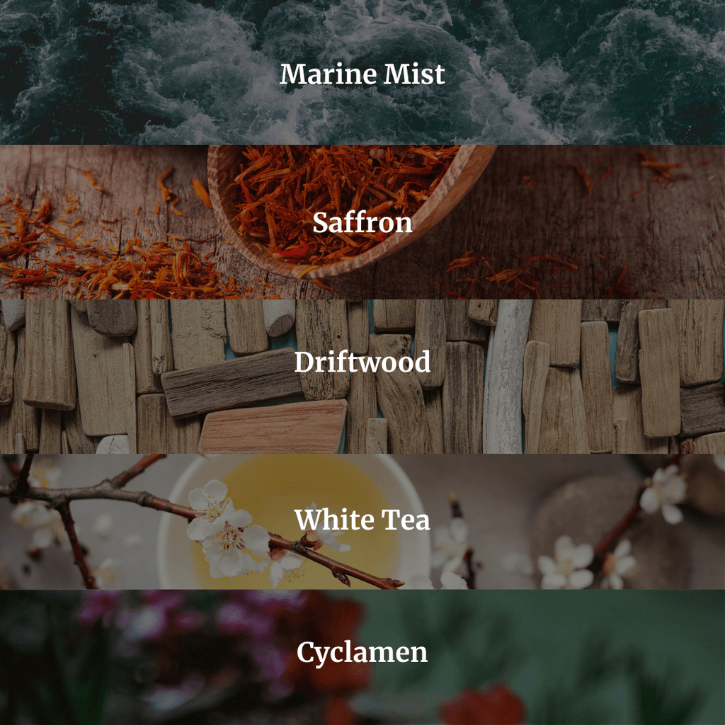 Collection of saffron, driftwood, white tea, and cyclamen with text labels on a dark background.