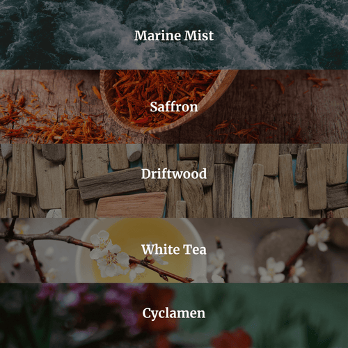 Collection of saffron, driftwood, white tea, and cyclamen with text labels on a dark background.