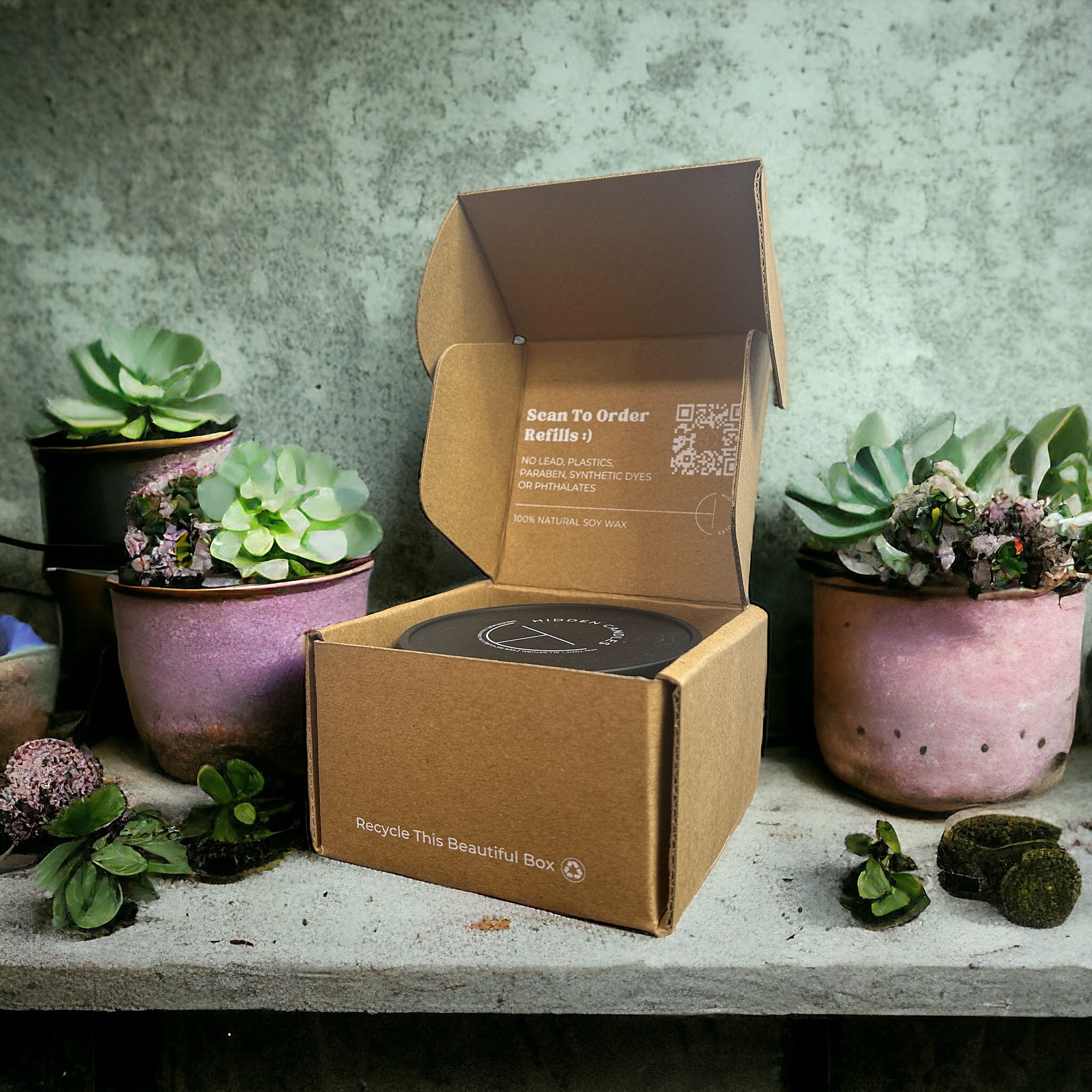 Open cardboard box with QR code on a surface with potted plants.