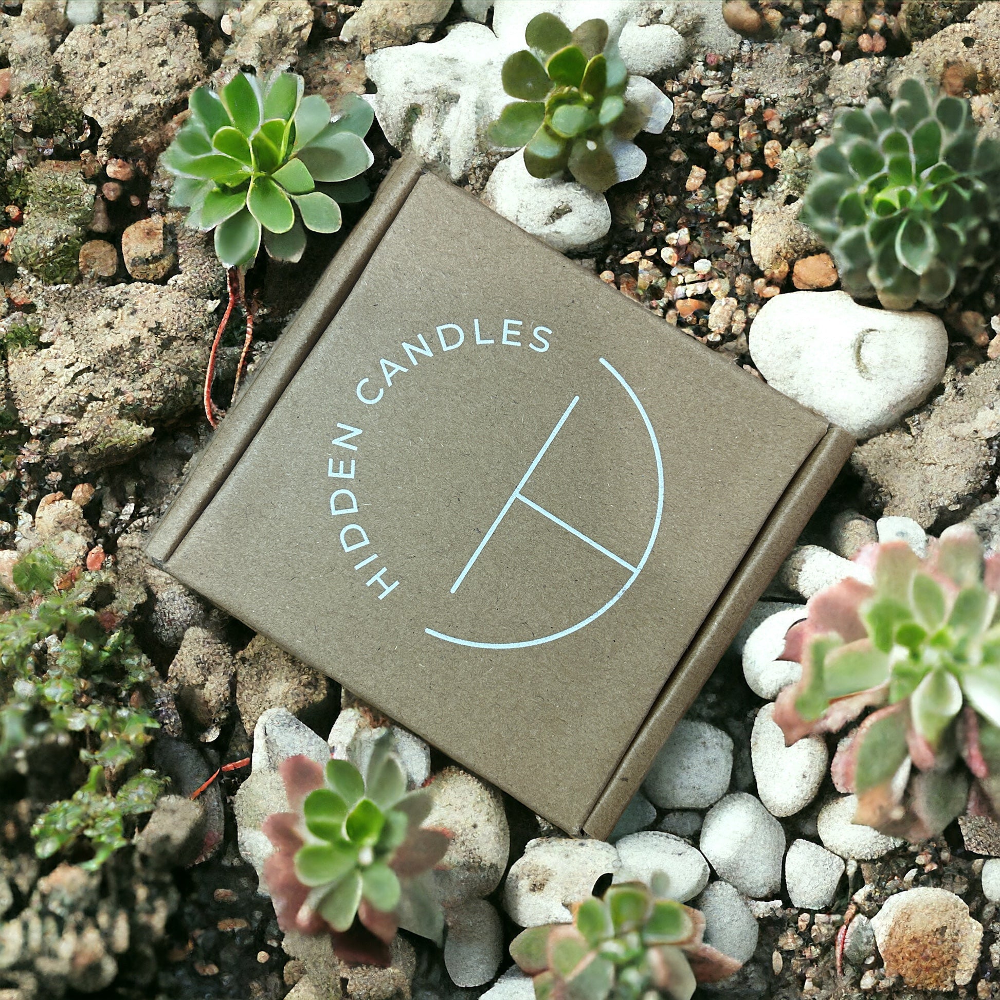 Hidden Candles packaging on a stone and pebble surface with small green plants