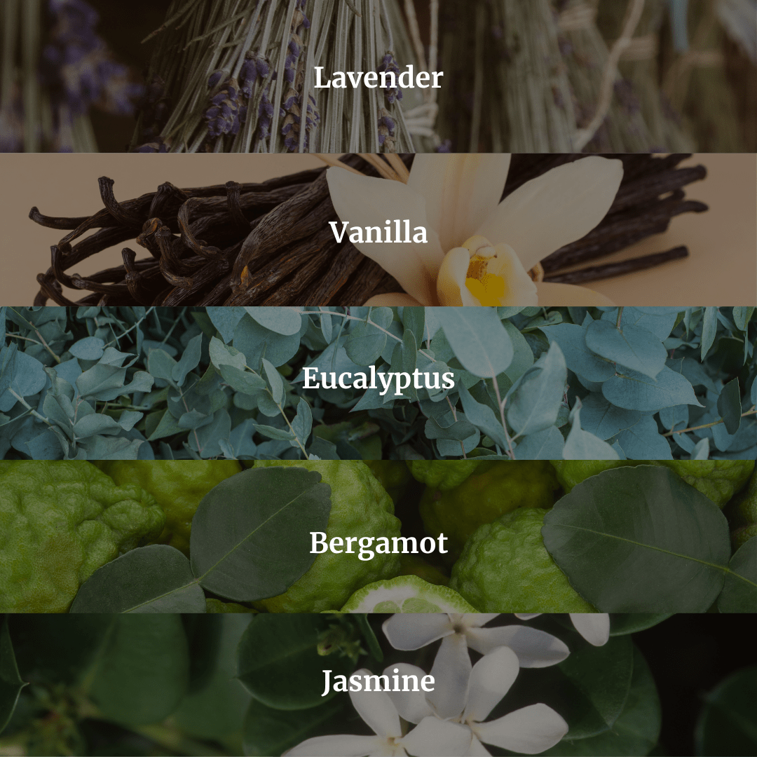 Collection of images with different scents labeled as Lavender, Vanilla, Eucalyptus, Bergamot, and Jasmine.