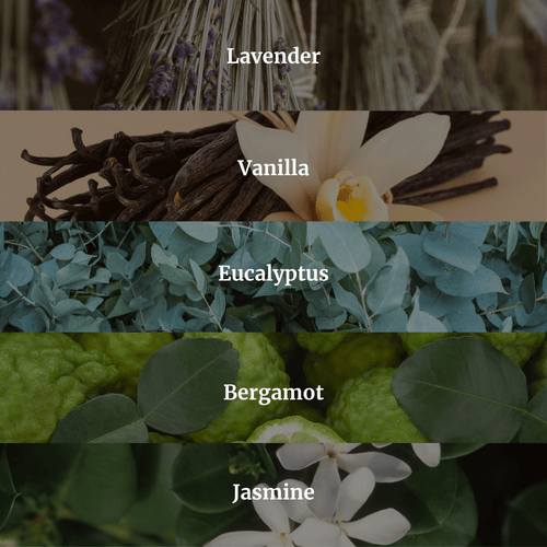 Collection of images with different scents labeled as Lavender, Vanilla, Eucalyptus, Bergamot, and Jasmine.
