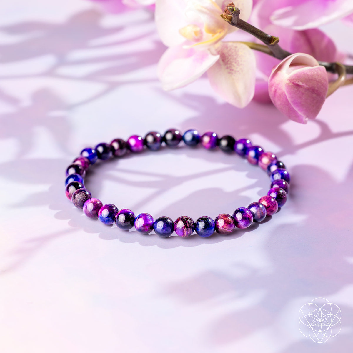 Destiny Activator - All-Galaxy Tiger’s Eye Bracelet | 6mm by Conscious Items