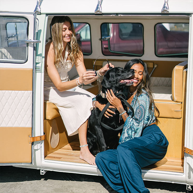 Two women with a black dog inside a vintage van.