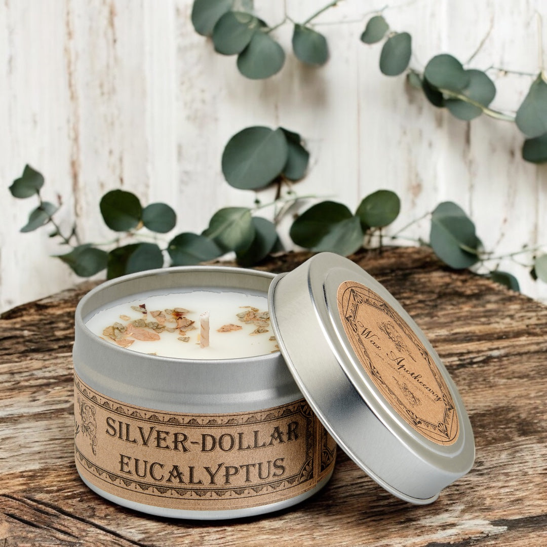 Silver-dollar eucalyptus candle in a tin with eucalyptus leaves in the background