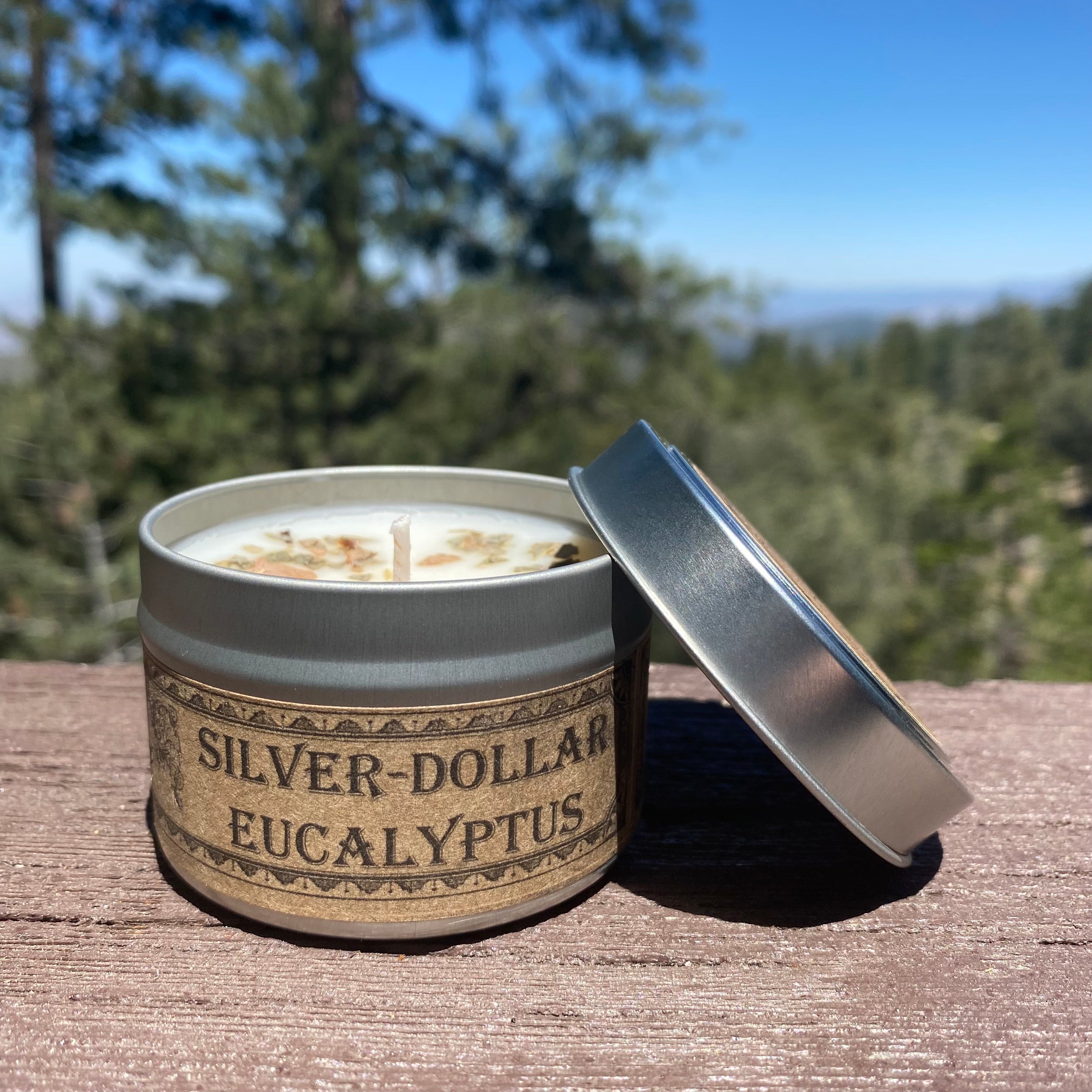 Candle in a tin labeled 'Silver Dollar Eucalyptus' with a forest background