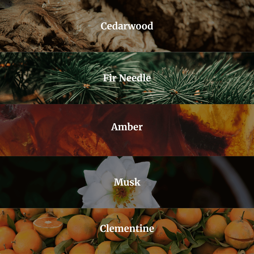 Collection of scents with corresponding images and labels: Cedarwood, Fir Needle, Amber, Musk, Clementine.