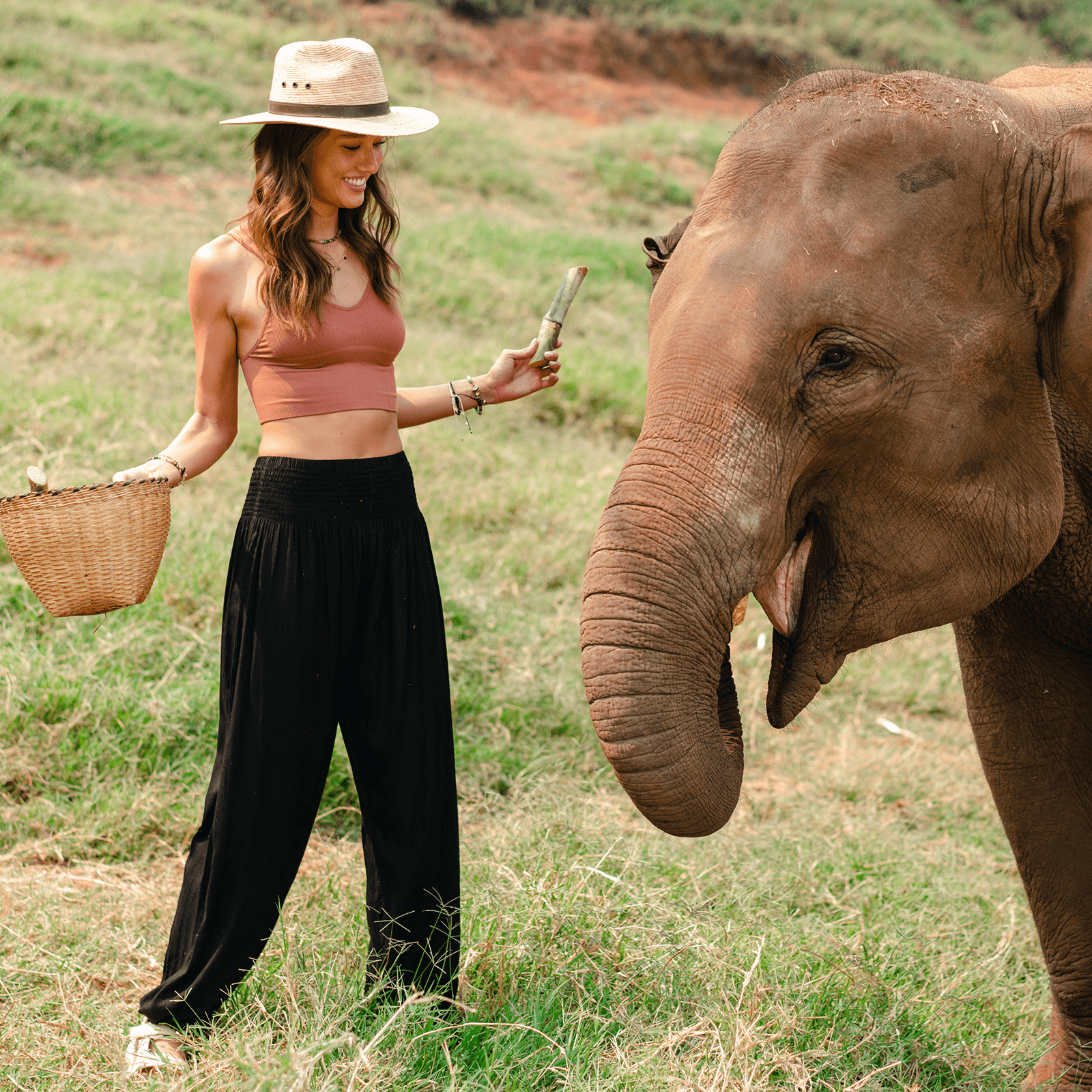 Woman in a pink top and black pants interacting with a young elephant in a grassy field.
