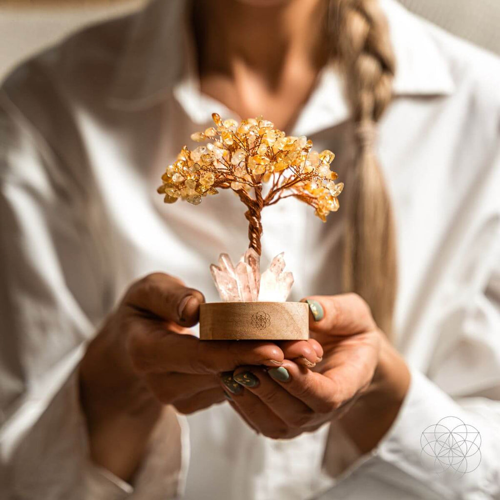 Person holding a small crystal tree in a wooden box with a blurred background