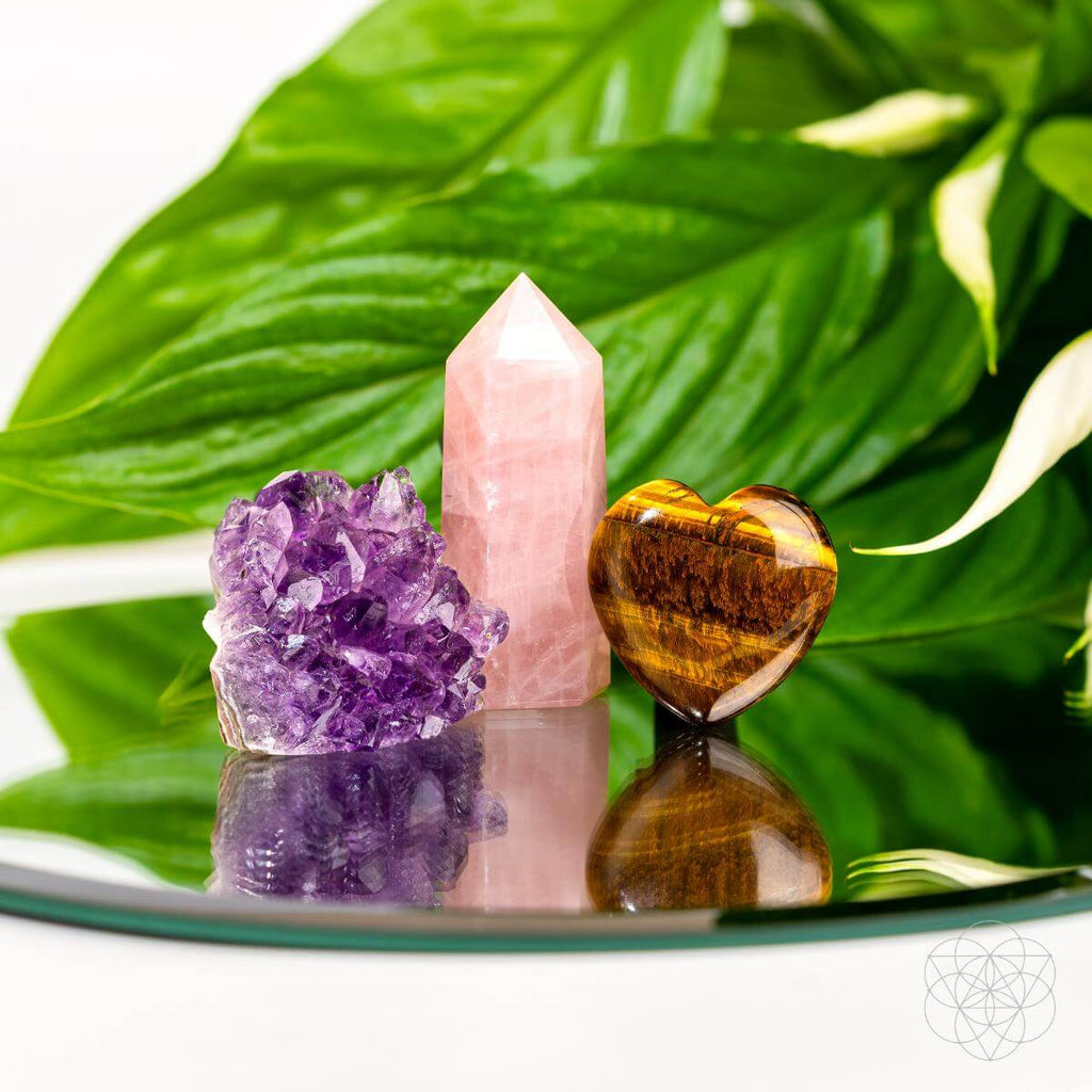 Crystal collection including amethyst, rose quartz, and tiger's eye on a reflective surface with green leaves in the background.