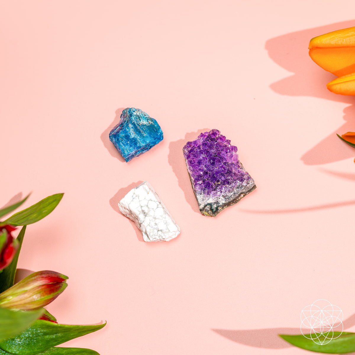 Mineral specimens on a pink background with floral elements