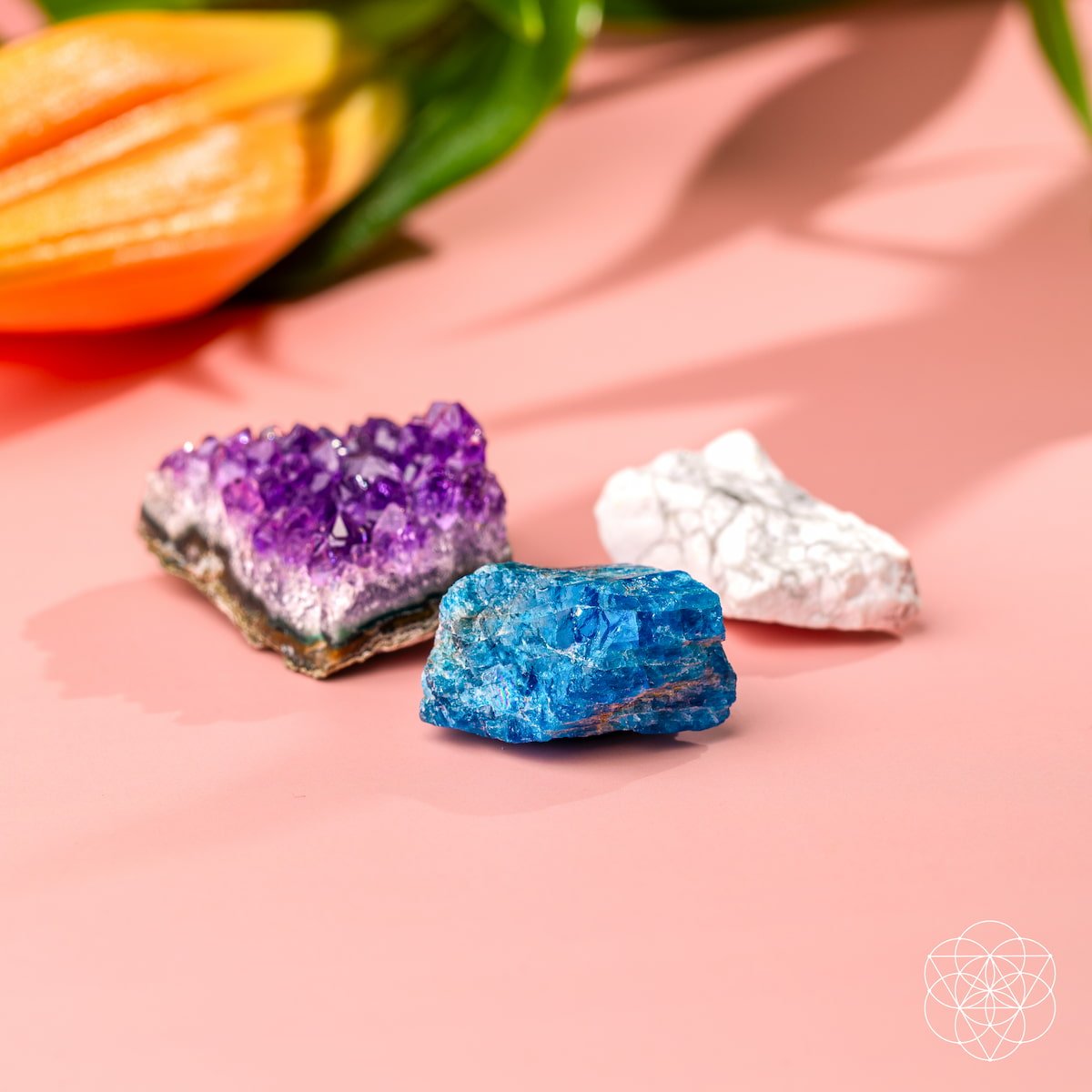 Three colorful crystals on a pink surface with a blurred flower in the background
