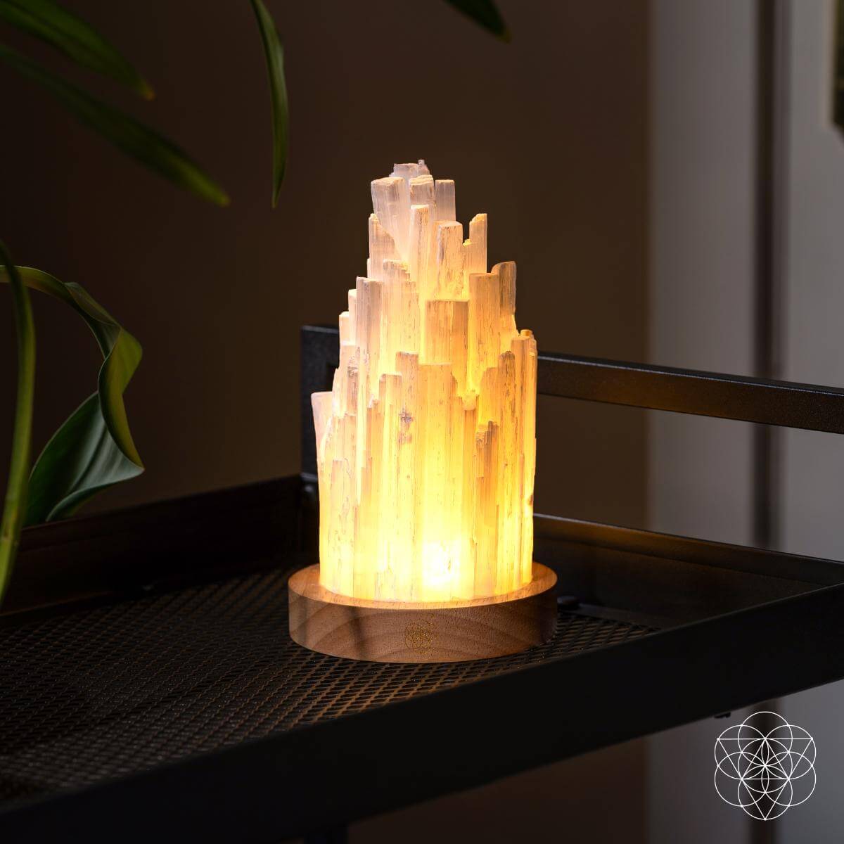 Decorative crystal lamp on a dark surface with a plant in the background