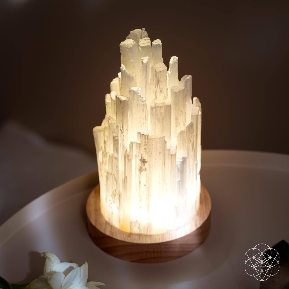 Crystal lamp with wooden base on a dark background