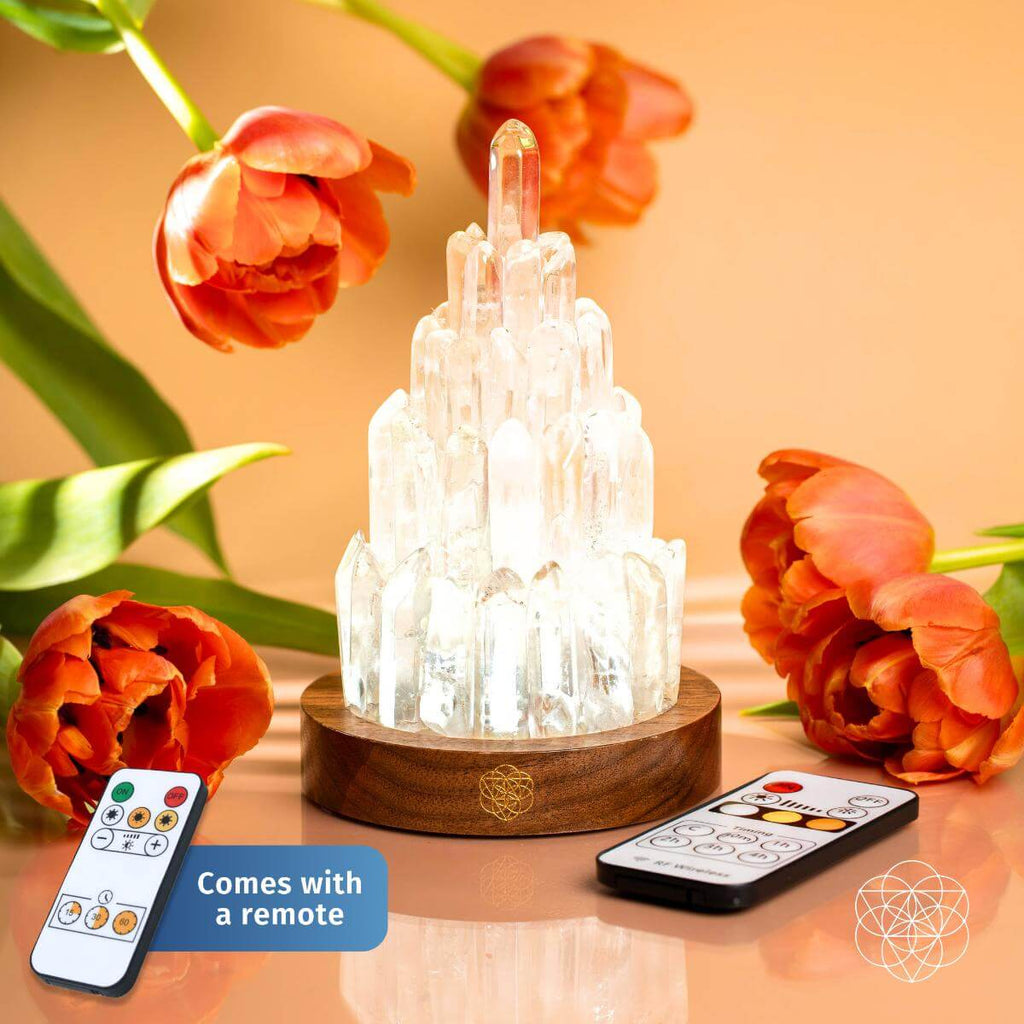Crystal lamp with remote control on a wooden base, surrounded by flowers
