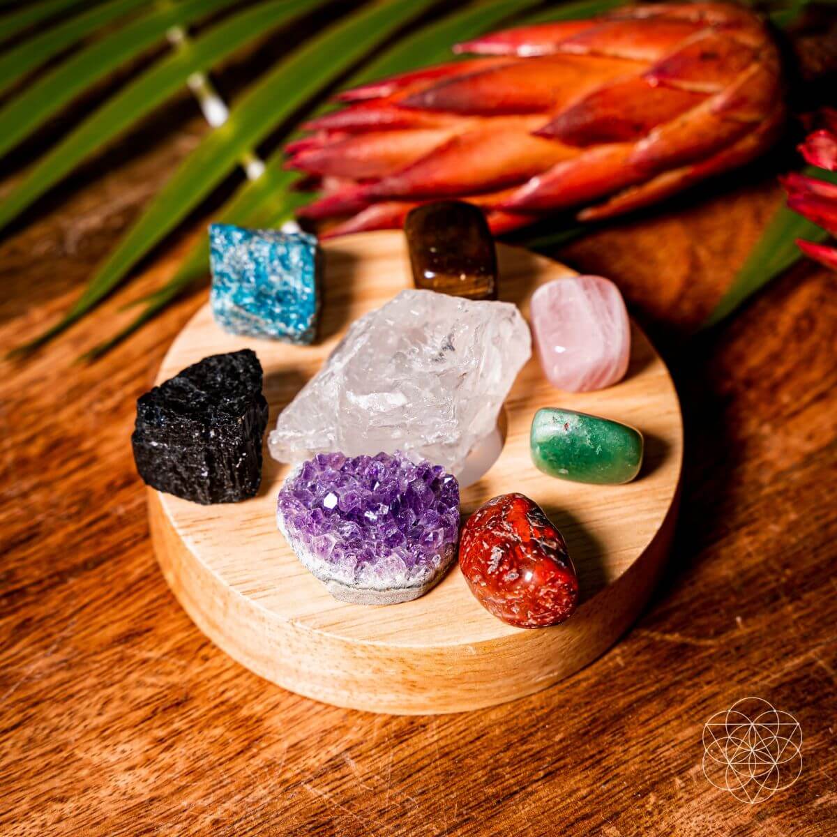 Assorted crystals on a wooden stand with a tropical leaf and flower in the background